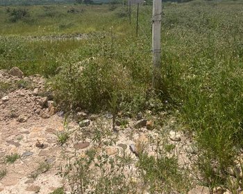 Lote Capadero 1000 – San Miguel de Allende real estate photo 3