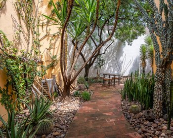 Casa Olivo – San Miguel de Allende real estate photo 3