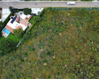 Lote Paloma – San Miguel de Allende real estate photo 4