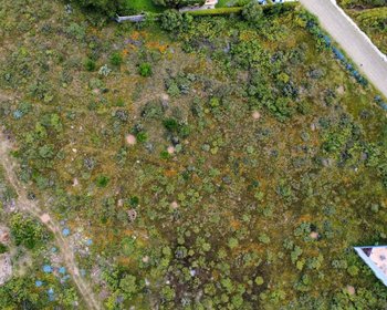 Lote Paloma – San Miguel de Allende real estate photo 1