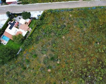 Lote Paloma – San Miguel de Allende real estate photo 3