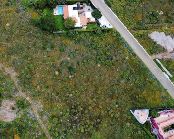 Lote Paloma – San Miguel de Allende real estate photo 2