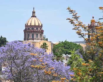 ALDEA APARTMENT  NOT AVAILABLE – San Miguel de Allende real estate photo 2