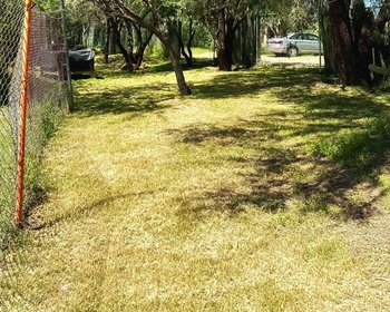 A private countryside lot with breathtaking views, just minutes from downtown. – San Miguel de Allende real estate photo 4