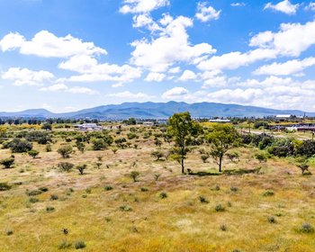 Los Organos – San Miguel de Allende real estate photo 3