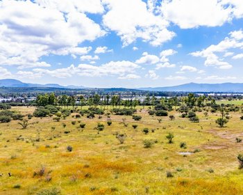 Los Organos – San Miguel de Allende real estate photo 1