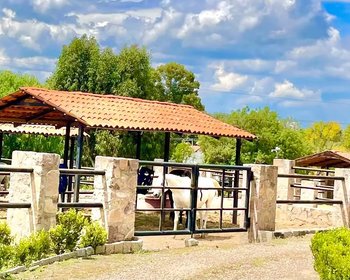 Lote dos Potrillos en La Loma – San Miguel de Allende real estate photo 3