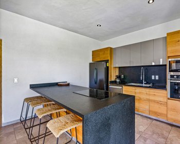 Casa Lucia – San Miguel de Allende real estate photo 4