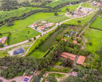 Rancho la Loma Lot 8 – San Miguel de Allende real estate photo 4