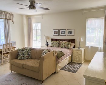 Suite 2 A  – San Miguel de Allende real estate photo 2