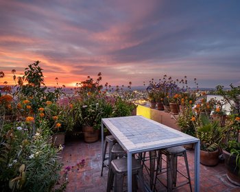 Casa Rosa – San Miguel de Allende real estate photo 4
