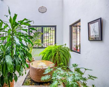 CASA TEQUILA SUNSET – San Miguel de Allende real estate photo 2