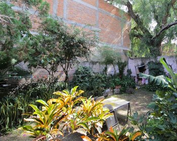 Fixer upper Insurgentes – San Miguel de Allende real estate photo 3