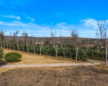 Terreno LA Herradura – San Miguel de Allende real estate photo 3