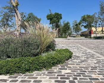 La Divina – San Miguel de Allende real estate photo 1