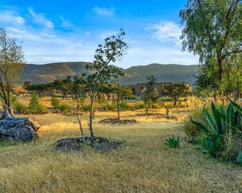 Homesite  Providencia Vida de Campo – San Miguel de Allende real estate photo 4