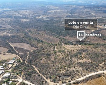 Hectáreas Ojo Zarco – San Miguel de Allende real estate photo 4