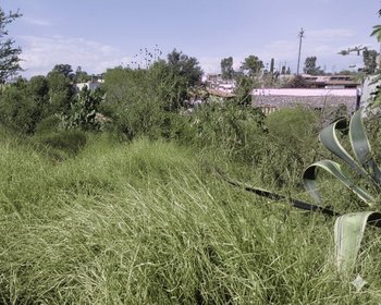 Homesite MAYORAZGO #8 – San Miguel de Allende real estate photo 3