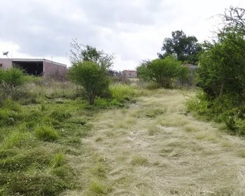 Homesite San Virgilio – San Miguel de Allende real estate photo 4