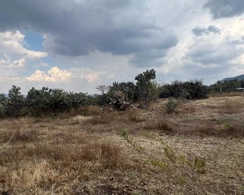 Lote La Providencia – San Miguel de Allende real estate photo 4