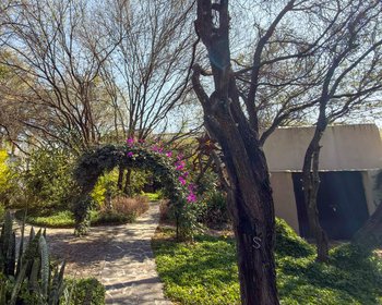 Casa Perdon – San Miguel de Allende real estate photo 2