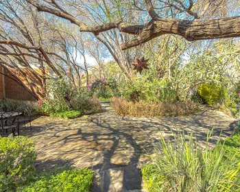 Casa Perdon – San Miguel de Allende real estate photo 3