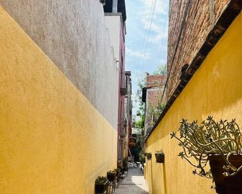 FIXER IN SAN ANTONIO – San Miguel de Allende real estate photo 1