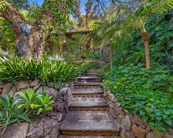  – San Miguel de Allende real estate photo 1