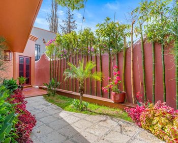 Casa Perro Afortunado – San Miguel de Allende real estate photo 4