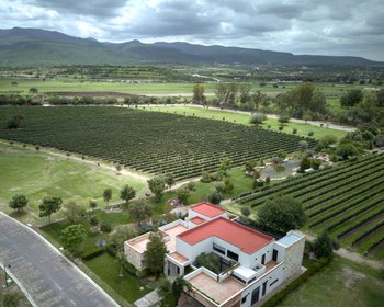 Los Remedios Malbec 512 – San Miguel de Allende real estate photo 3