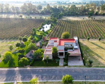 Los Remedios Malbec 510 – San Miguel de Allende real estate photo 3