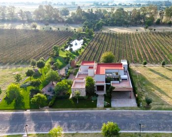 Los Remedios Malbec 510 – San Miguel de Allende real estate photo 3