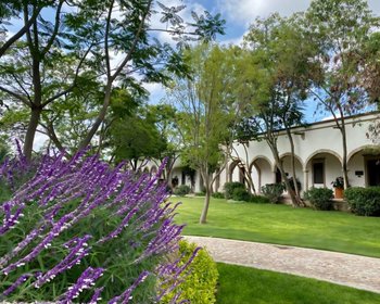 Los Remedios Malbec 510 – San Miguel de Allende real estate photo 2