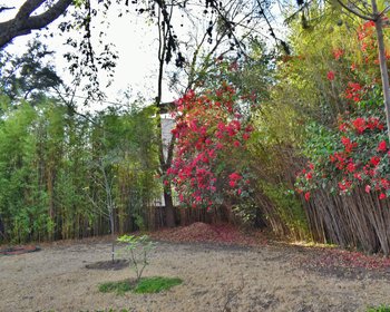 Lot Cerrojo – San Miguel de Allende real estate photo 2