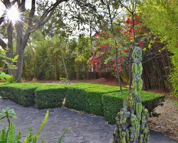 Lot Cerrojo – San Miguel de Allende real estate photo 3