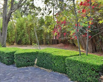 Lot Cerrojo – San Miguel de Allende real estate photo 4
