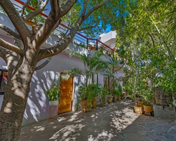 Casa Entre Arboles – San Miguel de Allende real estate photo 2