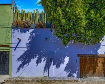 Casa Entre Arboles – San Miguel de Allende real estate photo 1