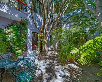 Casa Entre Arboles – San Miguel de Allende real estate photo 4