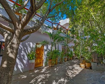 Casa Entre Arboles – San Miguel de Allende real estate photo 1