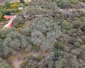 Lote Pedro Paramo 26 – San Miguel de Allende real estate photo 2