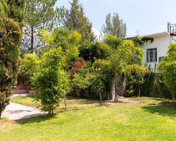 1954 Juan Xido – San Miguel de Allende real estate photo 3