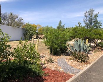 Lote Agave, Vista Antigua – San Miguel de Allende real estate photo 4