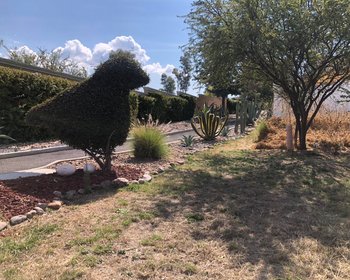 Lote Agave, Vista Antigua – San Miguel de Allende real estate photo 2