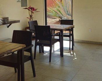 Condo Alegre – San Miguel de Allende real estate photo 4