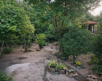 Terreno con frente comercial – San Miguel de Allende real estate photo 4