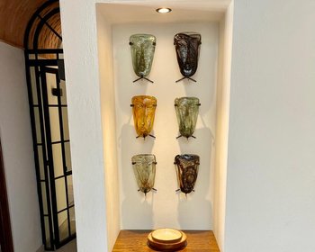  – San Miguel de Allende real estate photo 3