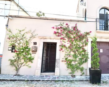 Casa de los Leones – San Miguel de Allende real estate photo 1