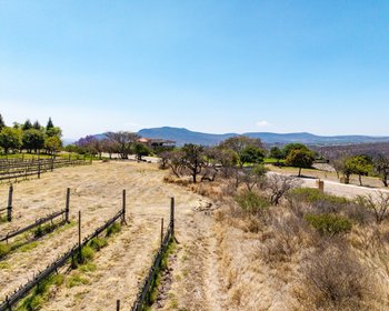 Lote Viñedo San Miguel – San Miguel de Allende real estate photo 4
