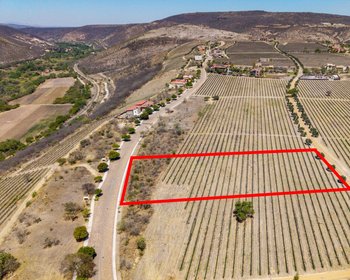 Lote Viñedo San Miguel – San Miguel de Allende real estate photo 1